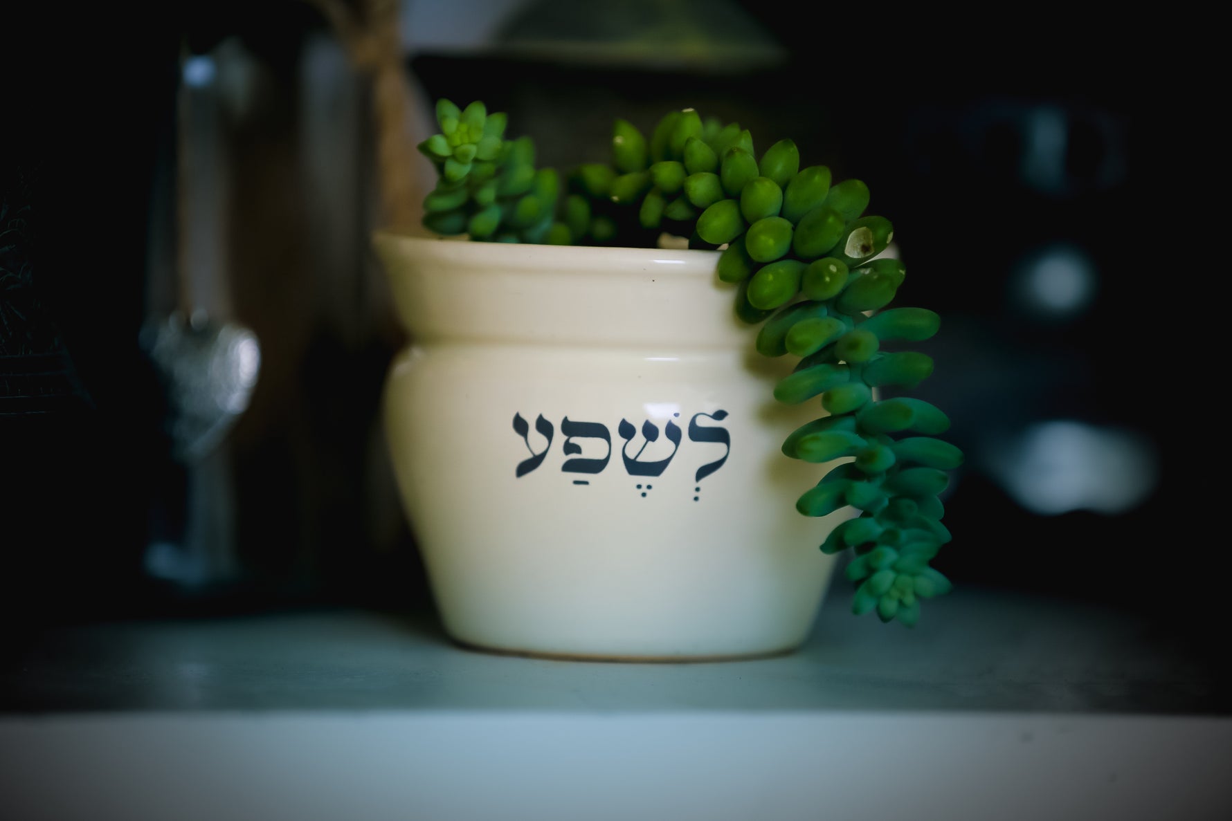 "לא לחיות בצל של החיים כנושאים תובנות של שפע"
