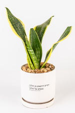 דברים היוצאים מן הלב נכנסים אל הלב L