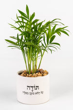 תודה על הלא מובן מאליו