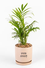 פשוט להודות L