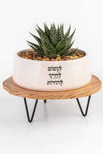 אדנית לבנה לנשום לחייך להודות