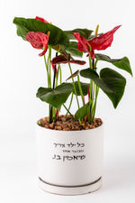 כל ילד צריך מבוגר אחד שיאמין בוXL