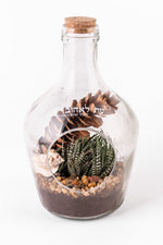 עת לאהוב אקווריום