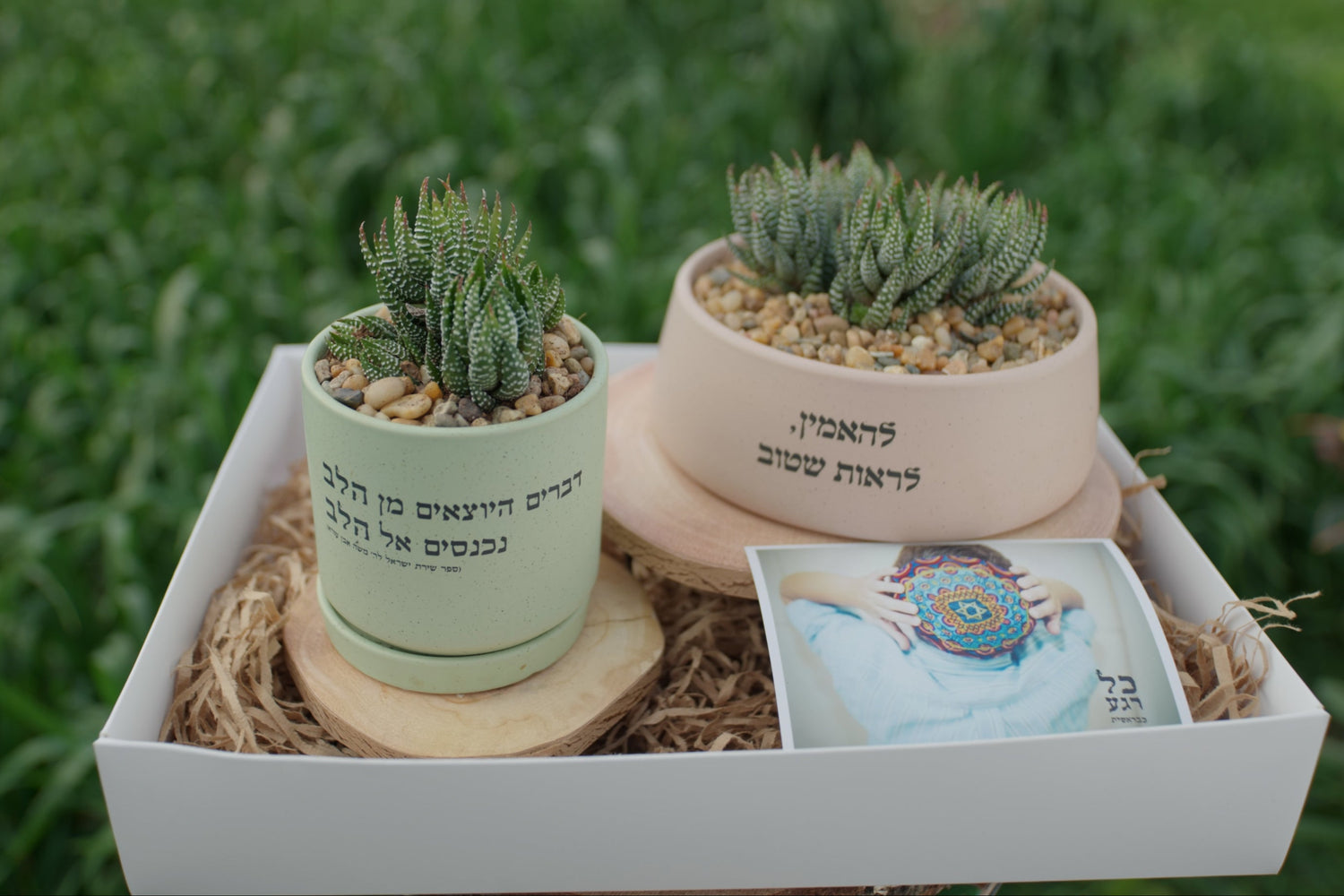 מארז: אדנית להאמין, לראות שטוב +ועציץ דברים היוצאים מן הלב נכנסים אל הלב