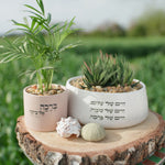 מארז: אדנית "חיים של שלום" + ברכה אל ביתך