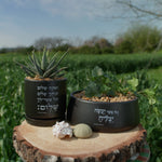 מארז: אדנית "וכל אשר יעשה יצליח" + עציץ ואתה שלום