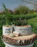 מארז: אדנית "וכל אשר יעשה יצליח" + עציץ פשוט להודות