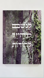 לנשום לחייך להודות קנבס 50/70