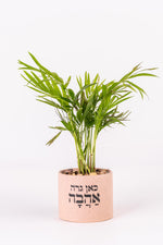 כאן גרה אהבה