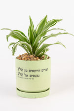 דברים היוצאים מן הלב