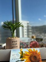 מארז זהב