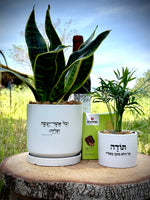 מארז לאיחול הצלחה ואמירת תודה