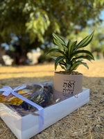 מארז לראש השנה (L)