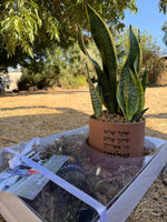 מארז לראש השנה (XL)