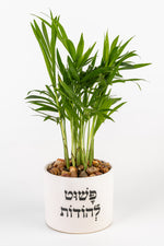 פשוט להודות