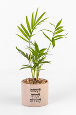 לנשום לחייך להודות