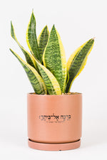 ברכה אל ביתך XL