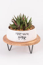 וכל אשר יעשה יצליח - אדניות