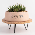 ברכה פודרה סוקולונט אדנית