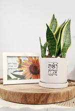 מארז ואת עלית + בכל יום יהיו