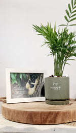 מארז עת לצמוח + לפעמים פוגשים אדם