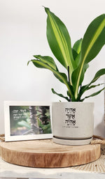 מארז אהיה אשר אהיה + לכל זמן