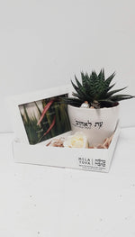 מארז עת לאהוב + להסכים להקשיב