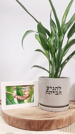 מארז להגיע הביתה + שלוה בארמונותיך