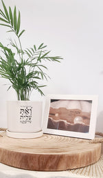 מארז רבות בנות + את חיל