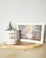 החיים זה מה שקורה עכשיו