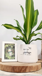 מארז וכל אשר + עולם נברא