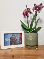 מארז עת לצמוח + כאן גרה אהבה