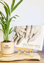 מארז שלוה בארמונותיך +נתתה שמחה בליבי