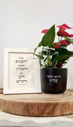 מארז וכל אשר + מטל השמיים