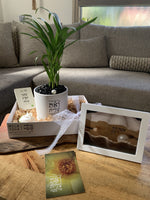 מתנה ליום האישה