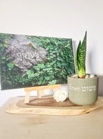 מארז פשוט לאהוב + לעטוף