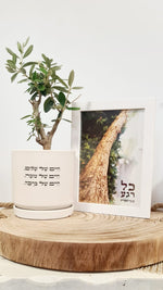 מארז חיים של ברכה + כל רגע כבראשית