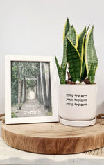 מארז חיים של + כשיוצאים מגיעים