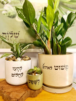 מארז לשפע + להעז לחלום + פשוט לאהוב