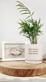 מארז חיים של + ונתתי להם