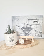 מארז החיים זה עכשיו + וכל אשר