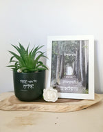 מארז וכל אשר + כשיוצאים מגיעים