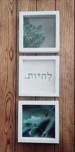 להיות + עלה + צמח