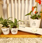 מארז ביחד + עת לצמוח + זמן להיות + פשוט לאהוב