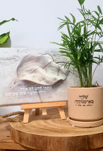 מארז שלווה בארמונותיך + ונתתי להם לב