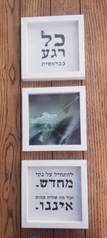 כל רגע כבראשית + להתחיל על נקי מחדש + עלה