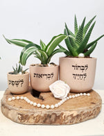 לבחור לחייך- לבריאות- לשפע