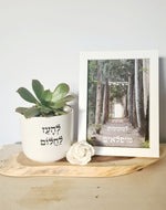 מארז להעז לחלום + כשיוצאים מגיעים