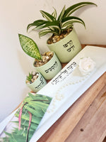 מארז ביחד + להסכים + הרפו ודעו + ברכה אל