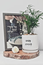 מארז פשוט להודות + וכל אשר